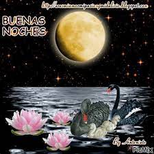 Saludos De Buenas Noches Gif 3 Gif Images Download In 2021 Beautiful Fantasy Art Gif Gifts Gif
