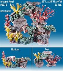 We did not find results for: Saltwater Aquarium Fish Species Reef Aquarium Decor Saltwater Fish Live Rock Marine Fish Tank Aquarium Decorations Saltwater Fish Tanks Marine Fish Tanks