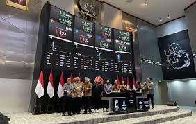 IPO Esa Medika Mandiri, Peluang Besar di Tengah Tantangan