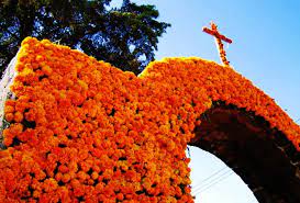 Maybe you would like to learn more about one of these? Flower Talk The Flowers Of The Dead