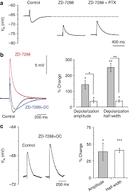 I H Mediated Depolarization Enhances The Temporal Precision Of Neuronal Integration Nature Communications