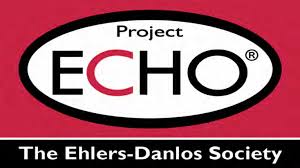 Project ECHO - Supporting Clinicians Supporting Their Patients