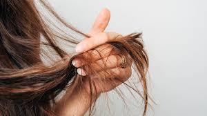 Combine all the ingredients in a bowl and set it aside. How To Make Diy Hair Conditioner First For Women