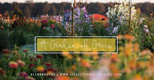 He will do all the chores! A Garden Of Grace Well Watered Women
