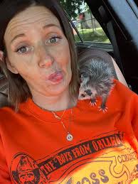 Raising and caring for opossums as pets