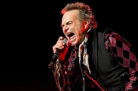 His time with the rock band van halen took roth's fame and fortune to great heights. David Lee Roth Isolating And Painting After Illness And Surgery