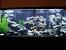 Fish Tank With White Gravel