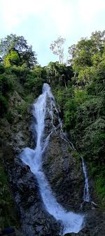 Selain menikmati keindahan dari air terjun anda juga bisa menikmati sajian hutan hijau dengan udara yang segar. Keunikan Taman Negeri Kenaboi Negeri Sembilan Qisstiera