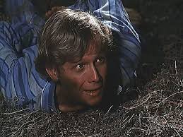 The Illustrated Waltons Episode Guide