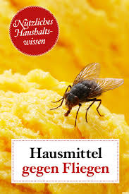 Pin Auf Haushalt Tipps