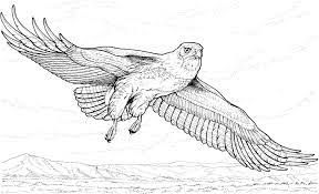 Keep a cat and pumpkin company on a magical night. Free Printable Eagle Coloring Pages For Kids