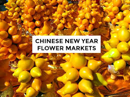 Check spelling or type a new query. The Chinese New Year Series Lucky Flowers At The Chinese New Year Flower Market Humid With A Chance Of Fishballs Tours Limited