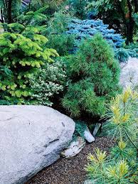 Rock Garden Design Ideas Rock Garden Design Rock Garden Conifers Garden