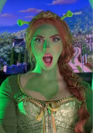 Fiona Pheonix Cooks Feast