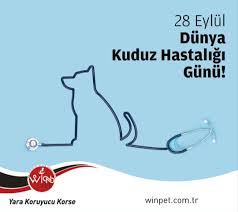 Dunya Kuduz Hastaligi Gunu Saglik Hayat Dunya
