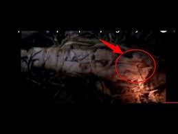 Wow 30 Foto Pocong Paling Menyeramkan Kumpulan Penampakan Pocong Paling Menyeramkan 2016 Video Download 5 Kisah Lagenda Hantu Y Di 2020 Gambar Hantu Gambar Hantu