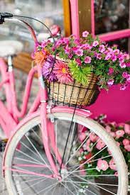 Lowest price in 30 days. A Pink Cruiser Bike With A Basket Full Of Assorted Flowers By Kristen Curette Daemaine Hines Pink Bicycle Pink Bike Pretty Bicycle