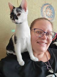 Introduction of Marney Moo Moo the Cow Cat