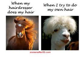 This is a quote from the. When My When I Try To Do Hairdresser My Own Hair Does My Hair Womenafter 50com Doe Meme On Me Me