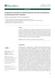 Image result for Euploca katangensis