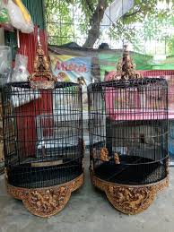 Memelihara burung telah menjadi semenjak dulu. Jual Produk Sangkar Bulat Kacer Termurah Dan Terlengkap Mei 2021 Bukalapak