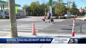 Fatal hit-and-run crash renews safety concerns over crossing busy  Cincinnati streets