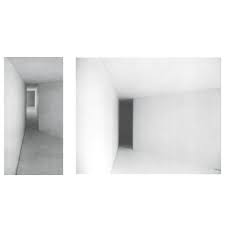 In the late 1960s, Michael Asher began to create works utilizing  pre-existing architectural structures, building and removing walls and  partitions. Rather than inserting an object into a space, Asher sought to  use