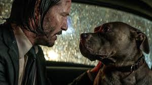 John Wick 3': How the Keanu Reeves franchise turned into a dog movie