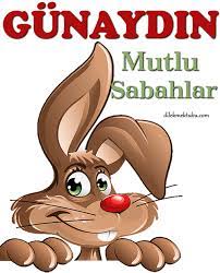 İlk defa göreceğiniz çok güzel hareketli gifler. Hareketli Gunaydin Mesajlari Dilek Mektubu