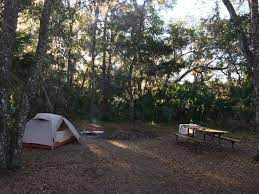 Inexpensive Forest Camping Near St Augustine Florida Https Freecampsites Net Matanzas State Forest Primiti Camping New Zealand State Forest Florida Camping