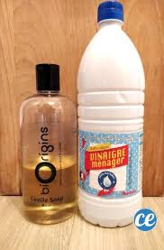 Savon De Castille Et Vinaigre Agrave Ne Pas M Eacute Langer Savon De Castille Desinfectant Naturel Produits