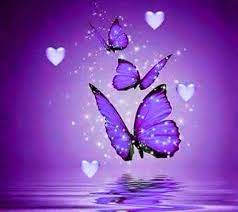 Beautiful butterfly stock photos and images 307,892 matches. Purple Butterflies Butterfly Wallpaper Butterfly Background Butterfly Pictures