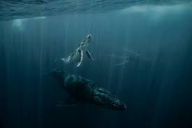 Dave Sandford @davesandford Photographer based in Canada