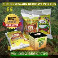 Jum at 02 april 2021 oleh : Jual Porang Di Yogyakarta Harga Terbaru 2021