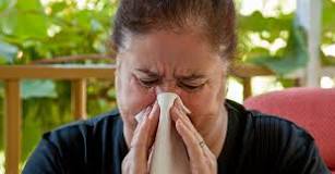 Image result for icd 10 code for allergic rhinitis seasonal