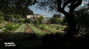 'garden of the plants of caen'), also known as jardin botanique de caen ('botanical garden of caen') is a botanical garden and arboretum located at 5, place blot, caen, calvados, normandy, france. Visite Le Jardin Des Plantes De Caen Silence Ca Pousse Youtube