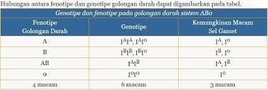 Konsep/ide/gagasan menjadi hal utama yang dibangun atau langkah awal untuk mencapai tujuan bisinis/organisasi. Keberadaan Antigen A Dikendalikan Oleh Brainly Co Id