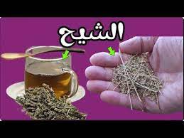 اشرب الشيح على معدة فارغة وبعد 7 أيام هذا ما سوف يحدث لجسمك وفق أحدث الدراسات youtube health and fitness expo body skin care engagement