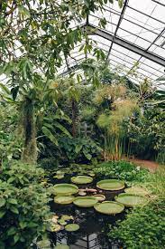 Dundee University Botanic Garden Haarkon Modern Garden Landscaping Modern Garden Plants