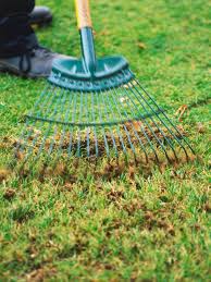 Maybe you would like to learn more about one of these? How To Treat Your Lawn In The Fall Landscaping Ideas And Hardscape Design Hgtv Fall Lawn Care Fall Lawn Lawn Care Tips