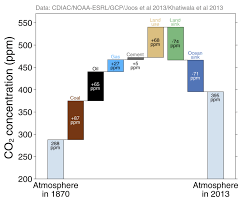 stability of carbon sinks and sources