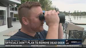 Officials do not plan to remove dead deer