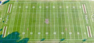 The Vermilion Catholic Eagles