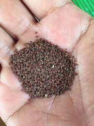 Dalam urusan ranjang, seorang suami sering dihadapkan. Petua Ibu Ubat Bisul Kalau Orang Tahu Ia Adalah Facebook