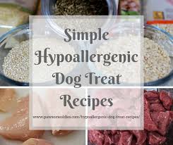 hypoallergenic dog treat recipes for