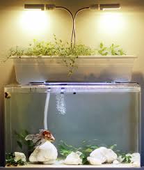In short, yes… and, as with other diy. How To Make A Diy Aquaponic Fish Tank Filter 7 Step Guide