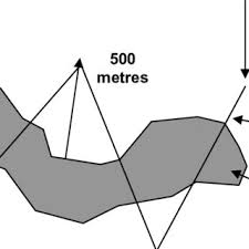 Image result for Rytigynia kiwuensis