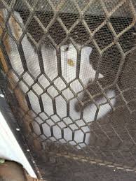 Aria again. "Mum let me come too ok😄my daddy said l could but you don't  have to "verify " it with him ok Mum"❤️love Madam Attitude Aria  🤣🤣❤️❤️❤️❤️❤️🇭🇲🇭🇲