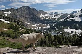 Just click on any city or town to learn accommodations, attractions, activities, dining, campgrounds, rv parks and other services offered. Glacier National Park U S Wikipedia