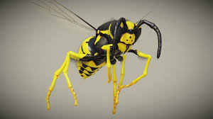 An Animated Wasp Verspula Germanica I Ve Made With Blender And Gimp Wasp 3d Model Model